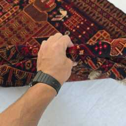 3??5 Ft Antique Baluchi Rug, Tribal Animal Design, Hand Knotted Afghan Wool Carpet - thumbnail 4