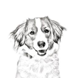Kooikerhondje - Wooden Stand For Candles/Pens With The Image Of A Dog New Collection - thumbnail 2