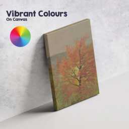 Vibrant Autumn Maple Tree Seasonal Landscape Painting Canvas Wall Art Print Decor Picture Ready To Hang - thumbnail 4
