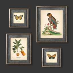 Set Of 4 Vintage Botanical Prints Poster Flower Butterfly Orange Green Beige Bird - thumbnail 1