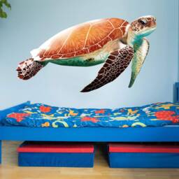 Sea Turtle Vinyl Wall Sticker Decal For Kids Rooms - Ocean Theme Decor Vwaq Na04 - thumbnail 1
