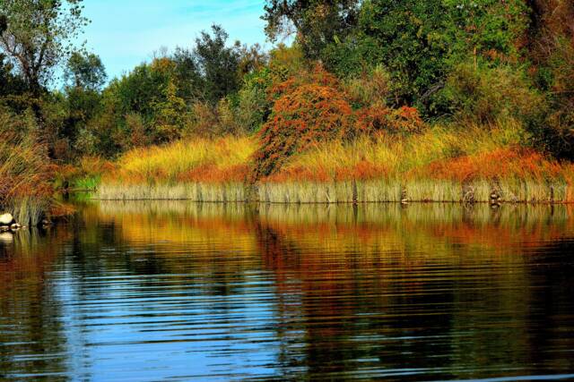 Beautiful Fall Wall Decor, Nature Art, California Landscape, Landscape Photograph, Autumn On Lake, Photo - image 1