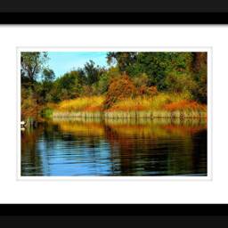 Beautiful Fall Wall Decor, Nature Art, California Landscape, Landscape Photograph, Autumn On Lake, Photo - thumbnail 2