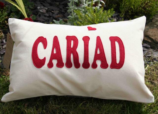 Cariad Cushion, Welsh Word Love Pillow, Sweetheart Home Decor, Theme, Language Gift, Gift - image 1