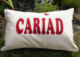 Cariad Cushion, Welsh Word Love Pillow, Sweetheart Home Decor, Theme, Language Gift, Gift - thumbnail 1