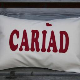 Cariad Cushion, Welsh Word Love Pillow, Sweetheart Home Decor, Theme, Language Gift, Gift - thumbnail 2