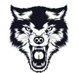 Wolf Face Head Car Van Bonnet Vinyl Side Sticker Wall Art Hood Graphic Window Door Sign Motorhome Campervan Decal