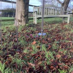 Set Of 3 Metal Garden Rusty Rain Cather Spray Stakes - thumbnail 4