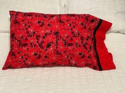 Spider Pillow Case - Standard Gift Present Science Biology - thumbnail 1