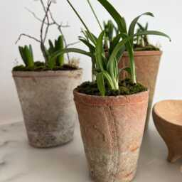 Rustic Terracotta Plant Pot Farmhouse Style Garden Decor in Three Sizes - thumbnail 2