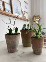 Rustic Terracotta Plant Pot Farmhouse Style Garden Decor in Three Sizes