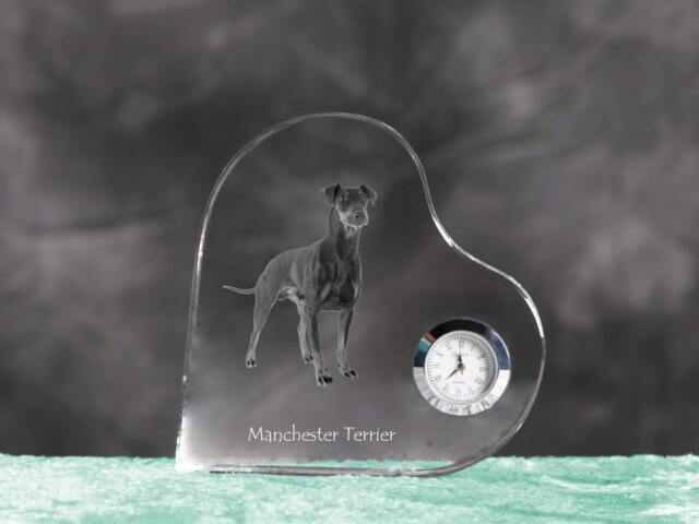 Manchester Terrier - Crystal Clock in The Shape Of A Heart With Image Pure-Bred Dog - image 1