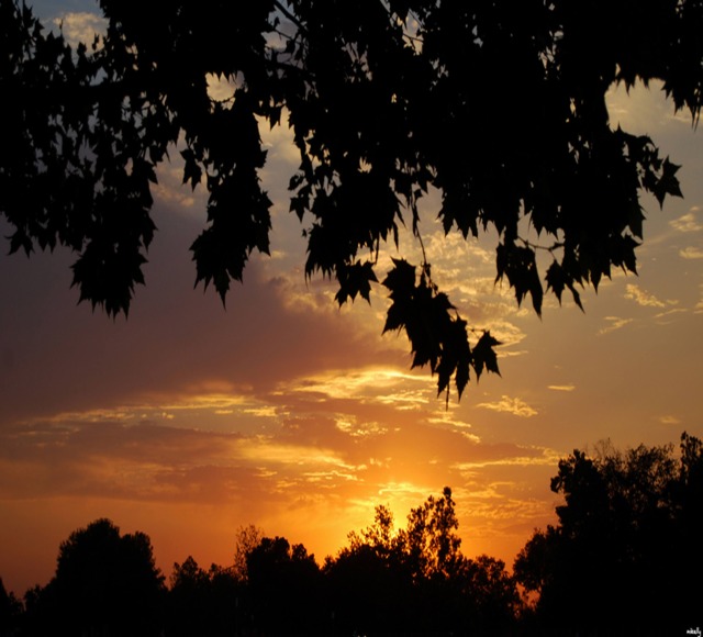 "Photographs, Original, Landscape Photography, Nature Photography, Wall Art Prints, Metal Photography Prints, Wall Art, ""A California Sunset" - image 1