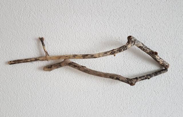 Fish From Driftwood No. Xv - image 1