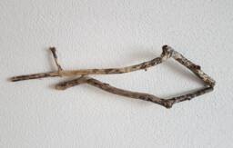 Fish From Driftwood No. Xv - thumbnail 1