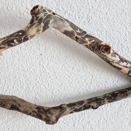 Fish From Driftwood No. Xv - thumbnail 2