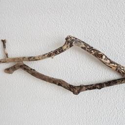 Fish From Driftwood No. Xv - thumbnail 3