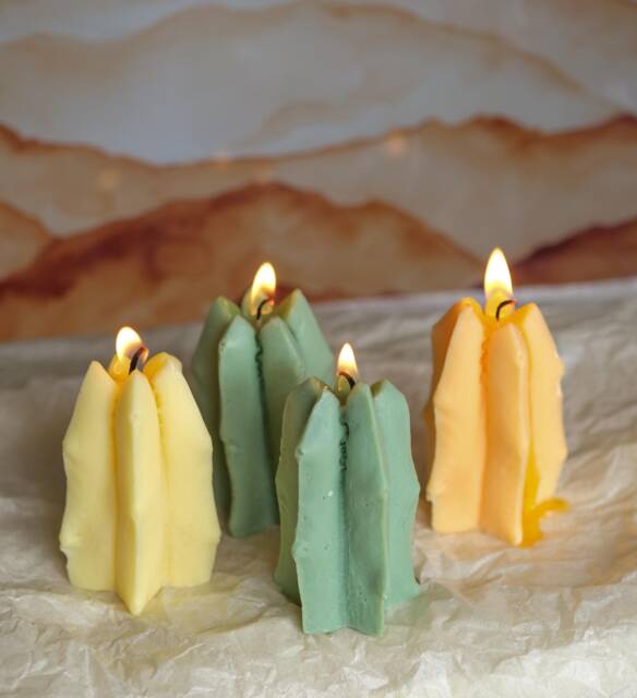 Soy Wax Cactus Candle - Handmade Decorative Gift For Her Valentine's & Mother's Day Idea Pillar - image 1