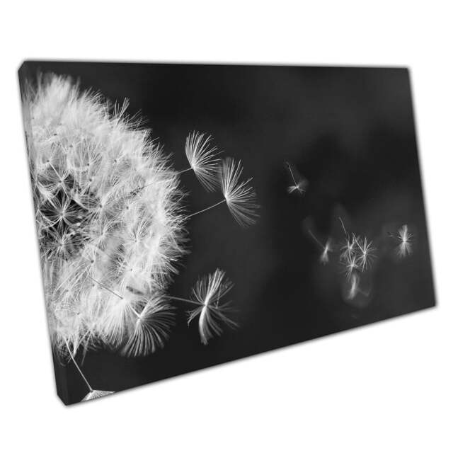 Dandelion Seeds in Flight Wall Art Calm Nature Greyscale Photography Canvas Print For Home Office Decor - image 1