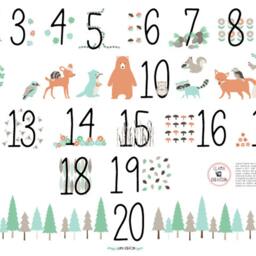 Woodland 123 Numbers Wall Sticker Decal - Educational Stickers, Learning, Art, Decals, Kids Room, School, Education, Gifts - thumbnail 2