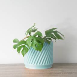 "Penelope Planter With Drainage & Saucer in Cotton Candy Blue, Unique 3D-Printed Plant Pot, Small To Large Sizes 4"" 5"" 6"" 7"" 8" - thumbnail 3