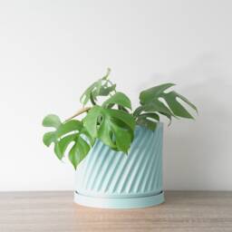 "Penelope Planter With Drainage & Saucer in Cotton Candy Blue, Unique 3D-Printed Plant Pot, Small To Large Sizes 4"" 5"" 6"" 7"" 8" - thumbnail 4