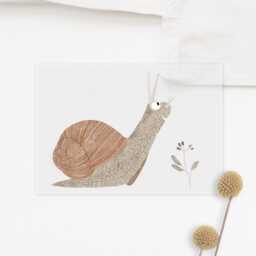 Iron-On Snail