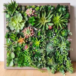 Faux Succulent 3D Wall Art Rustic Wood Framed Botanical Decor For Home & Business - thumbnail 2