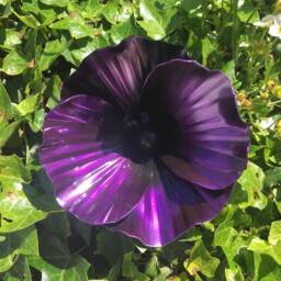 Handcrafted Purple Poppy Sculpture Military Remembrance Gift Veteran's Day Metal Centrepiece Handmade Flower Present Drooping Head Poppies - thumbnail 2