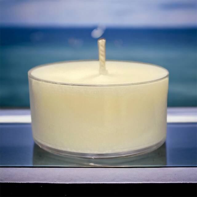 Ocean Breeze Soy Candle Tea Lights Rustic Beach House Decor - image 1