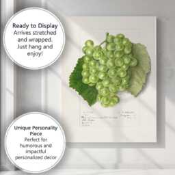 Vintage Green Grape Botanical Watercolour Illustration Canvas Wall Art Print Decor Picture Ready To Hang - thumbnail 3