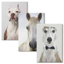 Canvas Wall Art Set Of 3 - Interesting Portraits Dogs & Horses in An Elegant Style, Gray Large Art, Animals Hanging Piece - thumbnail 1