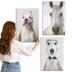 Canvas Wall Art Set Of 3 - Interesting Portraits Dogs & Horses in An Elegant Style, Gray Large Art, Animals Hanging Piece - thumbnail 2