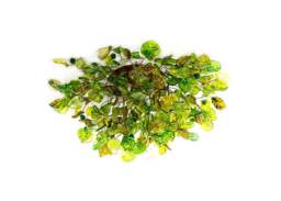 Green Flush Mount Lighting, Ceiling Mount Light With Green Flowers & Leaves