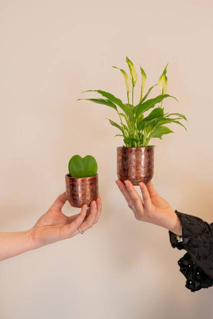 Handmade Copper Plant Pot Hammered Metal Planter - D7 & 8cm Options - image 1