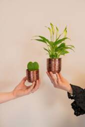 Handmade Copper Plant Pot Hammered Metal Planter - D7 & 8cm Options