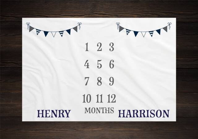 Twin Baby Milestone Blanket Month Growth Tracker Fleece Shower Newborn Gift Minky Boy Girl - image 1