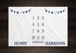 Twin Baby Milestone Blanket Month Growth Tracker Fleece Shower Newborn Gift Minky Boy Girl - thumbnail 1