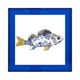Funky Fish Sea Bass in White - Neon Colored Acrylic Frame - thumbnail 1
