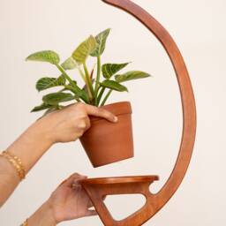 Plant Hanger, Retro, Minimal, Mid-Century Modern, Handmade, Wooden Hanging Plant Shelf - thumbnail 3