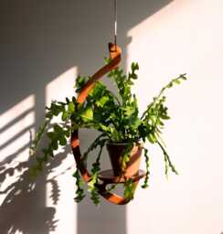 Plant Hanger, Retro, Minimal, Mid-Century Modern, Handmade, Wooden Hanging Plant Shelf - thumbnail 1