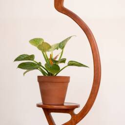 Plant Hanger, Retro, Minimal, Mid-Century Modern, Handmade, Wooden Hanging Plant Shelf - thumbnail 2