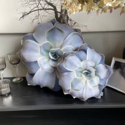 Grey Succulent Shape Pillow Realistic Small Echeveria Cushion, Plant Gift - thumbnail 3
