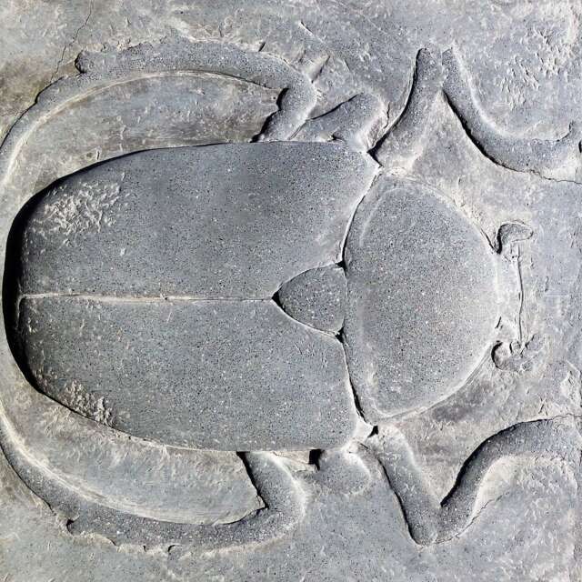 Scarab Black Concrete Sculpture Tile Ancient Egyptian - image 1