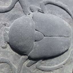 Scarab Black Concrete Sculpture Tile Ancient Egyptian - thumbnail 3