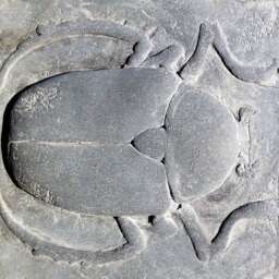 Scarab Black Concrete Sculpture Tile Ancient Egyptian - thumbnail 1