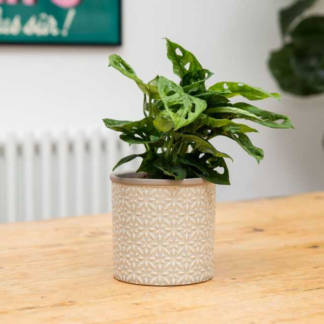 Grey Moroccan Ceramic Planter Pot - image 1