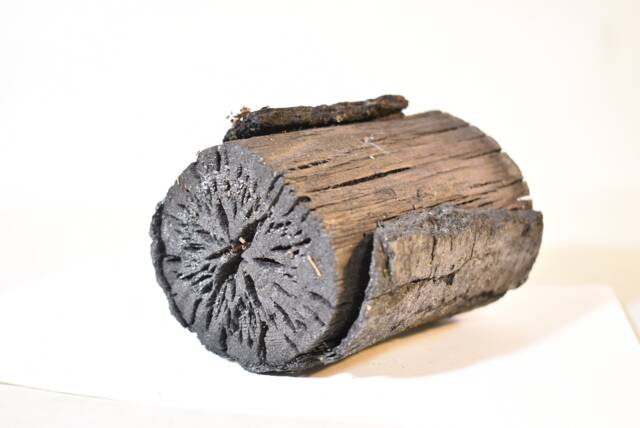 Japanese Oak Charcoal, 200 Grams - image 1