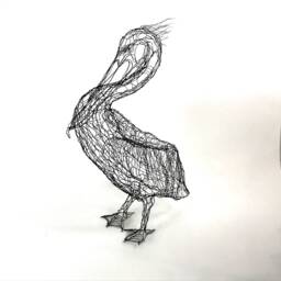 Brown Pelican, 27 - thumbnail 1