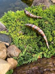 Garden Fish Sculpture Stainless Steel Handmade Welded Metal Patina Outdoor Garden Art Decor